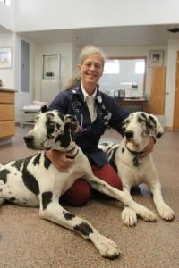 Desert Veterinary Clinic Dr. Cheryl Haugo